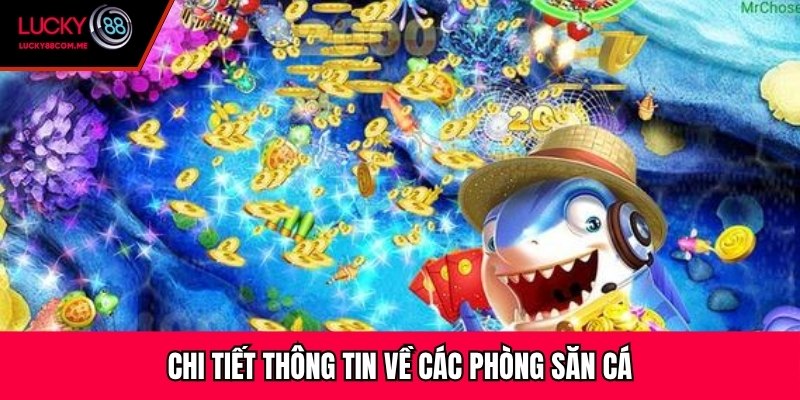 Chi tiết thông tin về các phòng săn cá
