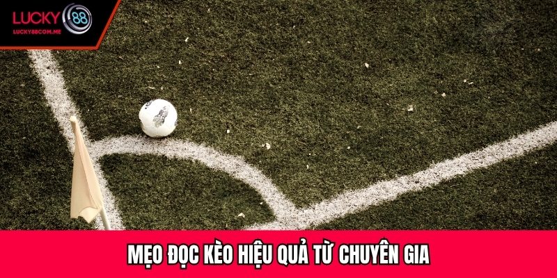 Mẹo đọc kèo hiệu quả từ chuyên gia